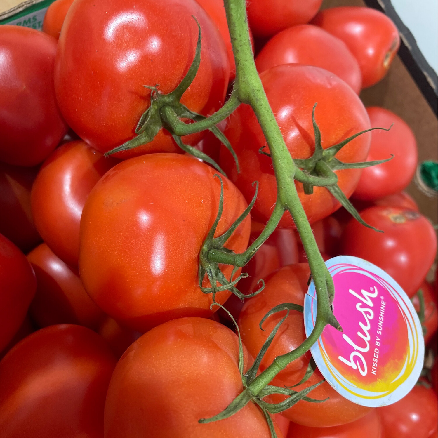 Truss Tomato 500g