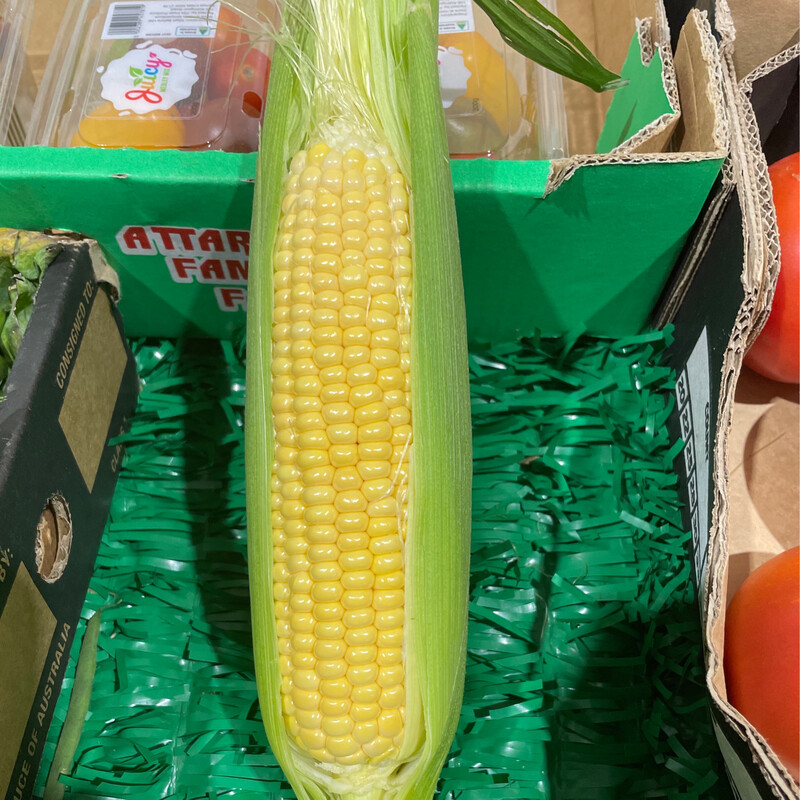 Corn 