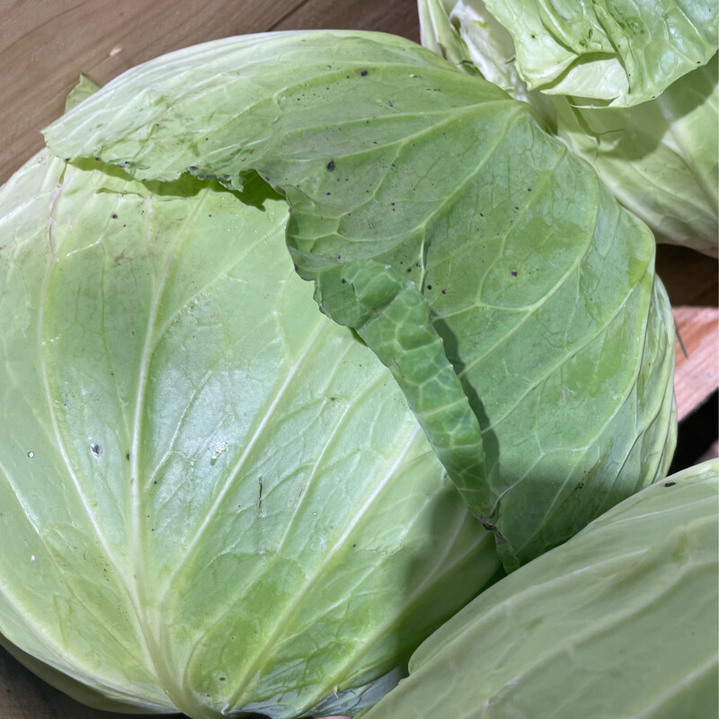 Cabbage Green