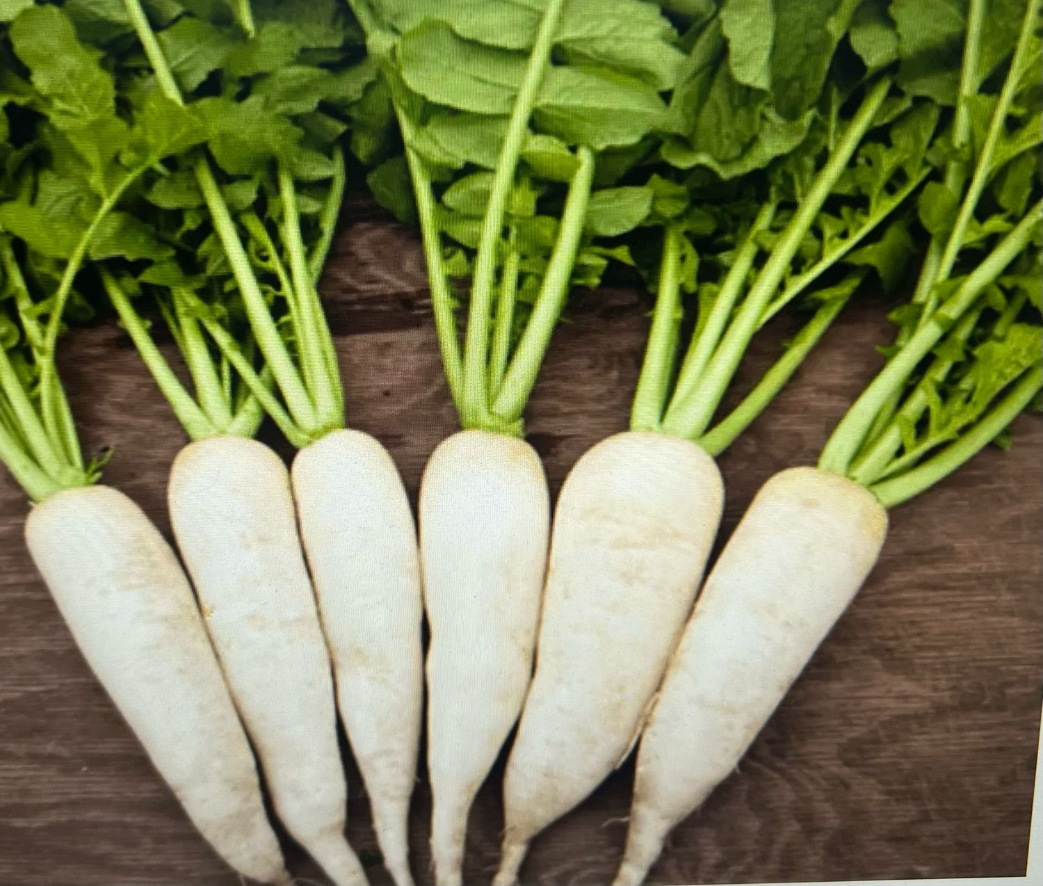 White Radish