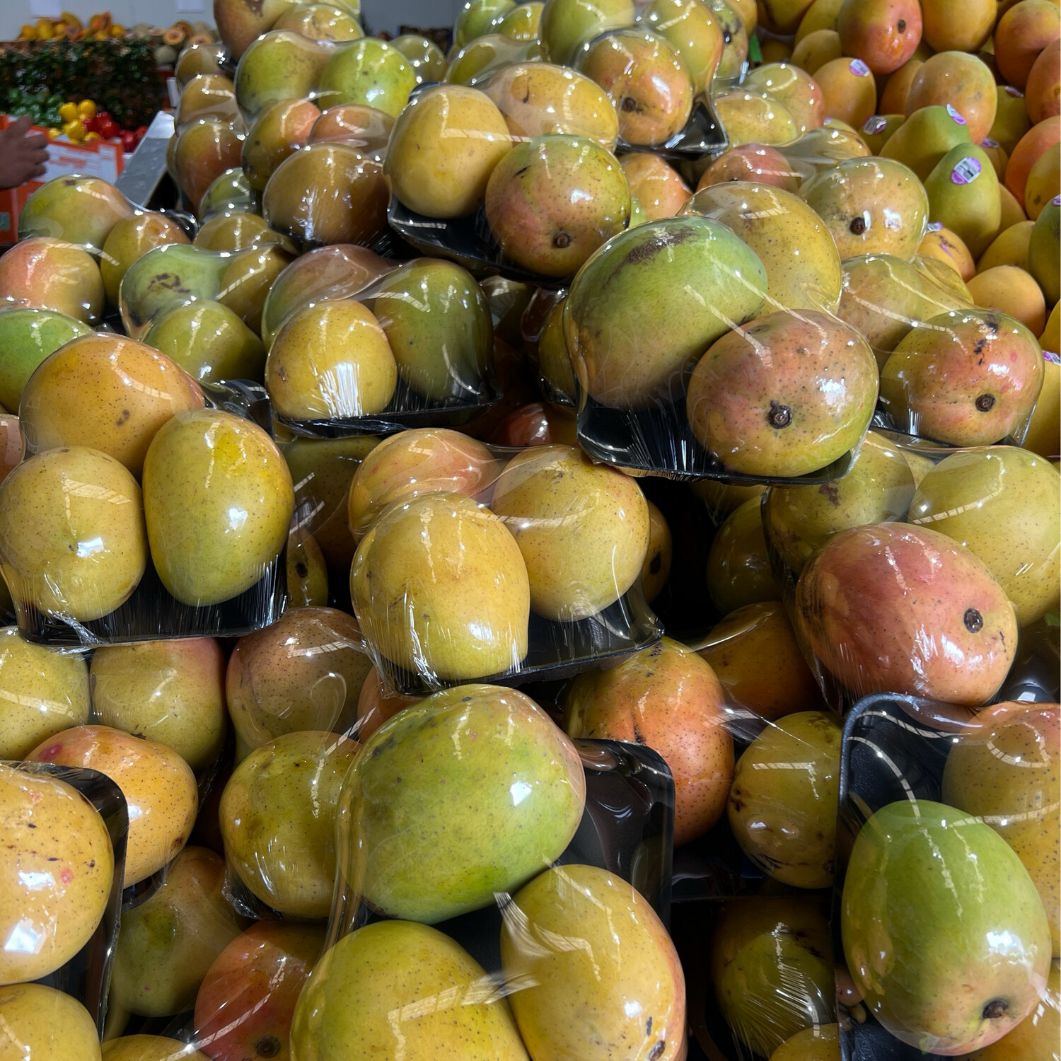 KP Mango Tray