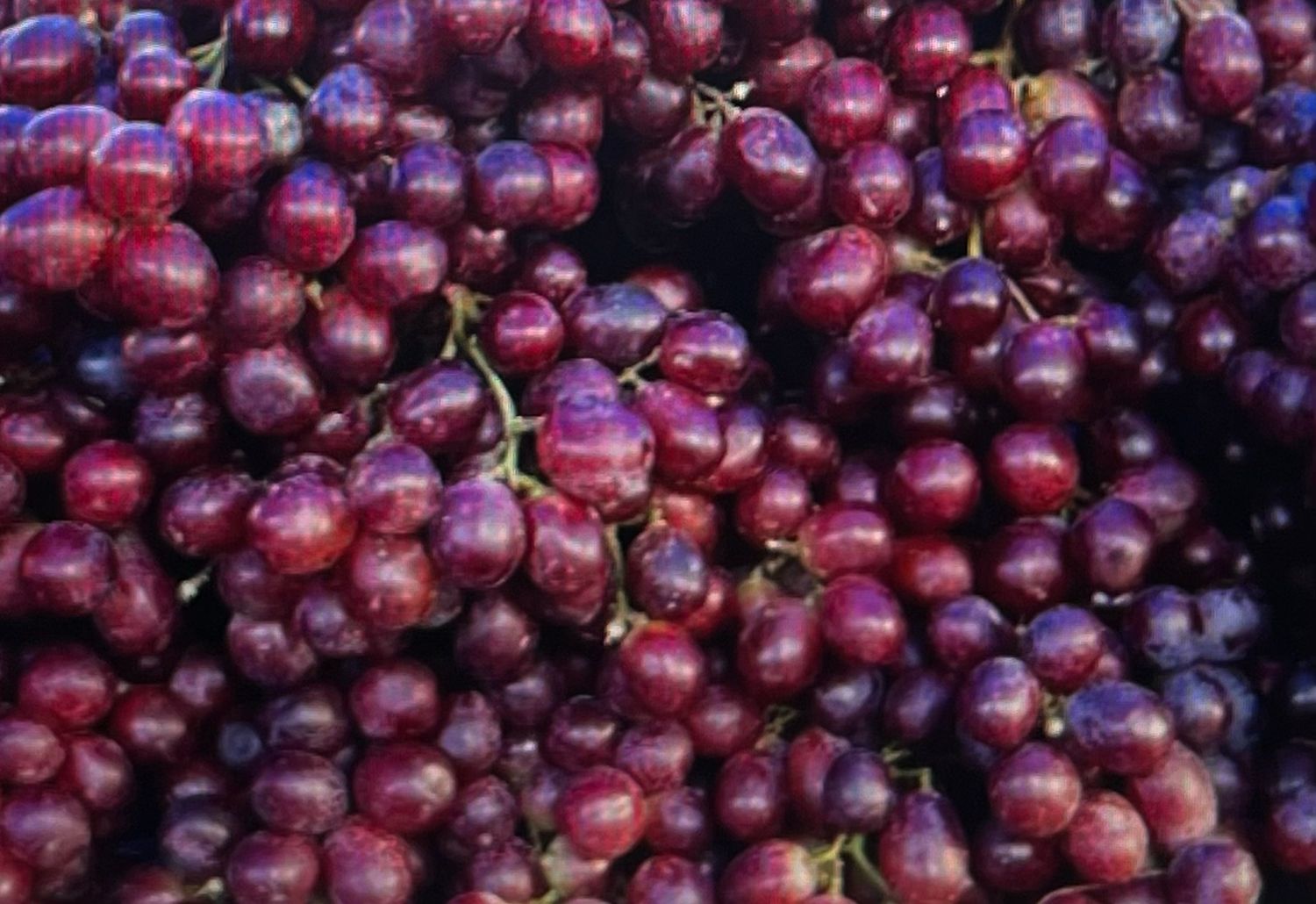 Grapes Red 500g