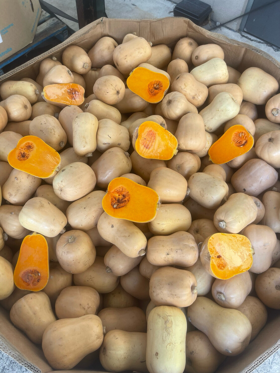Pumpkin Butternut 1kg