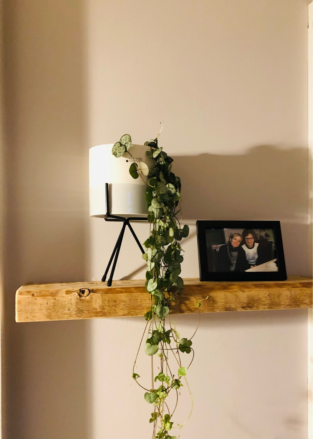 Fliegendes Holzboard