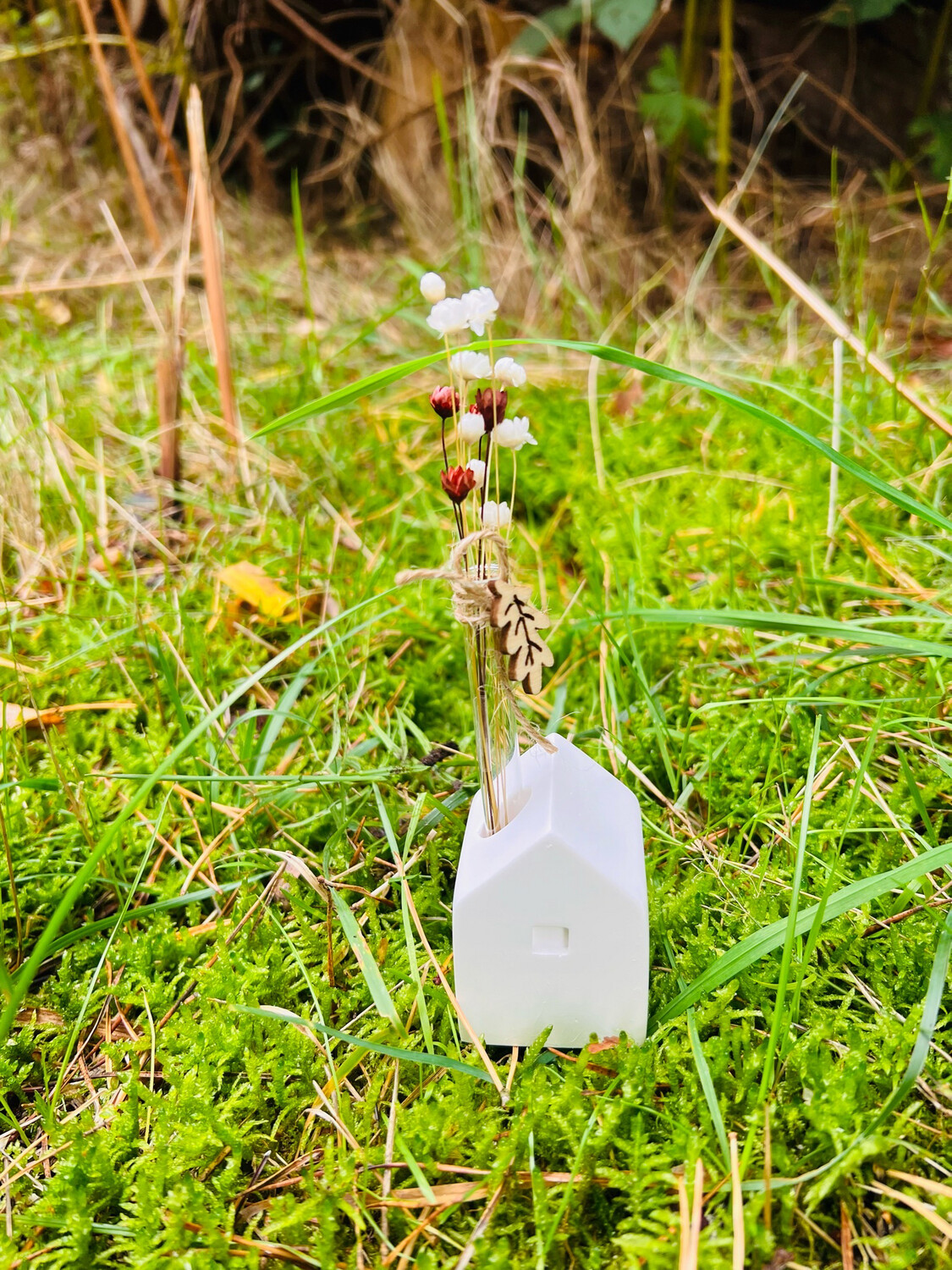 Kleines Häuschen mit Reagenzglas