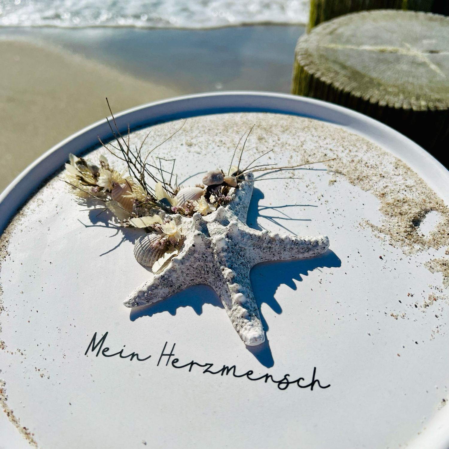 Seesterntraum
