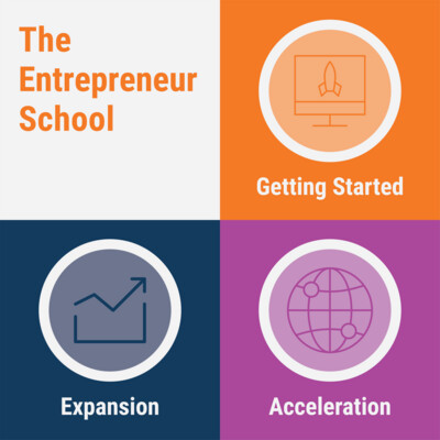 The Entrepreneur School
