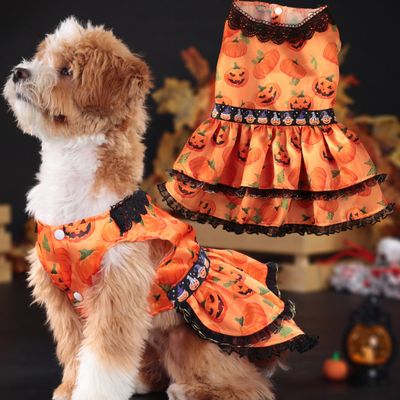 Disfraz de Perro Vestido Halloween 2024