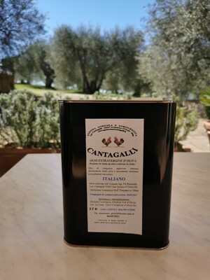6 CANS/LATTINE 2 LT. ITALIAN Extra Virgin Olive Oil