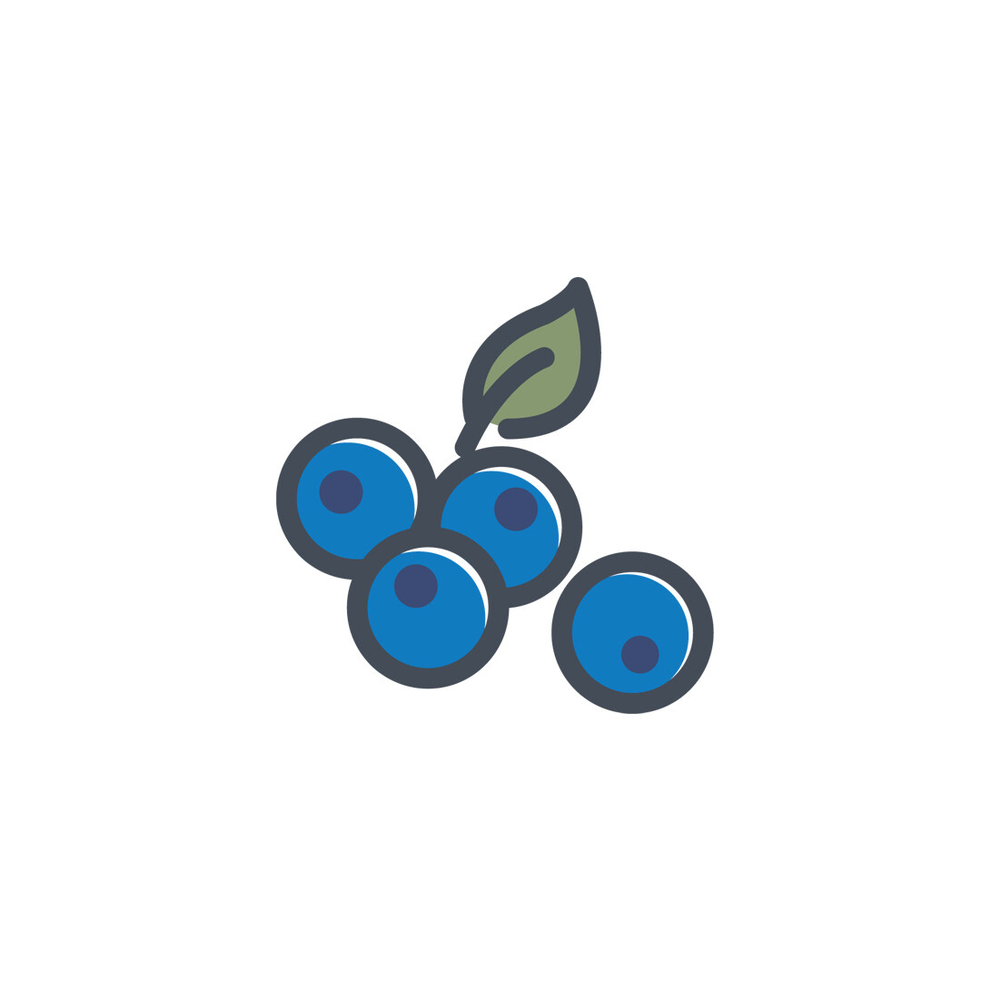 Blueberry