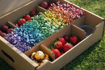 Rainbow of Love