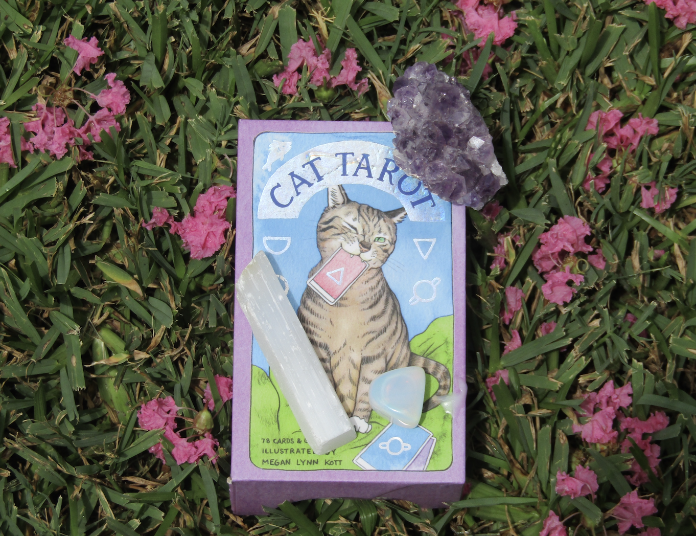 In-Depth Tarot Reading