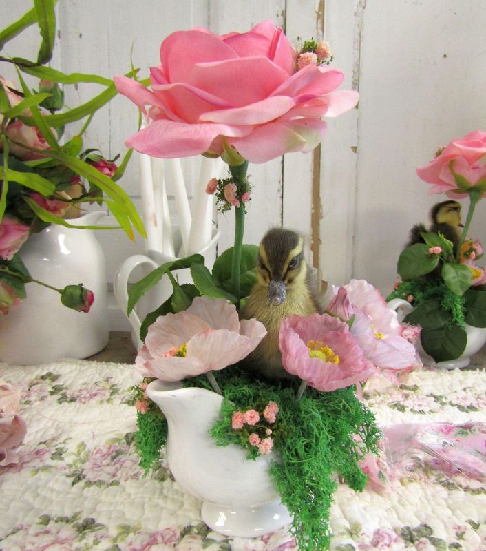 Little taxidermy chick in floral scenery filled creamer by Anita Spero Design
