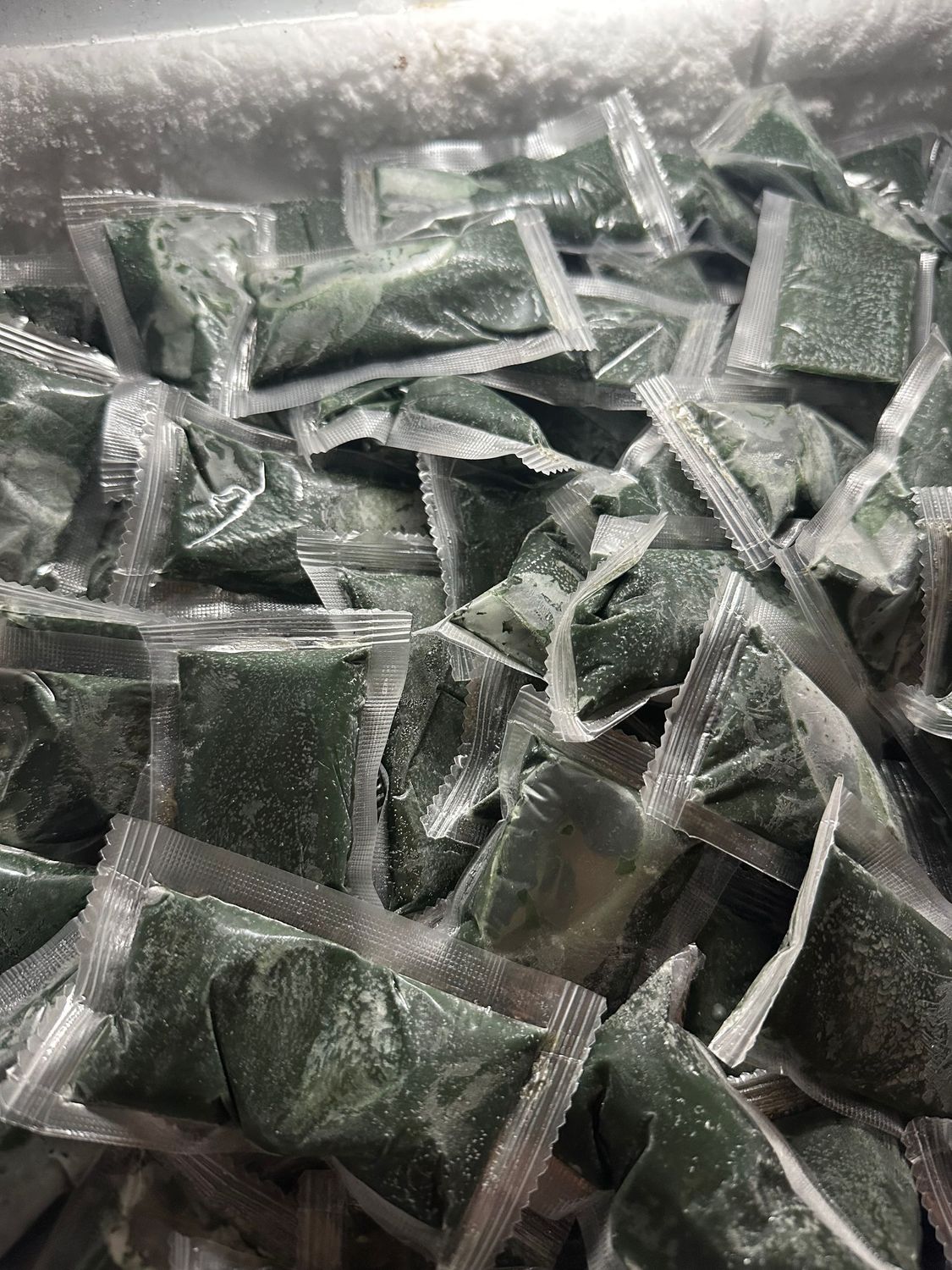 Frozen Spirulina Pods