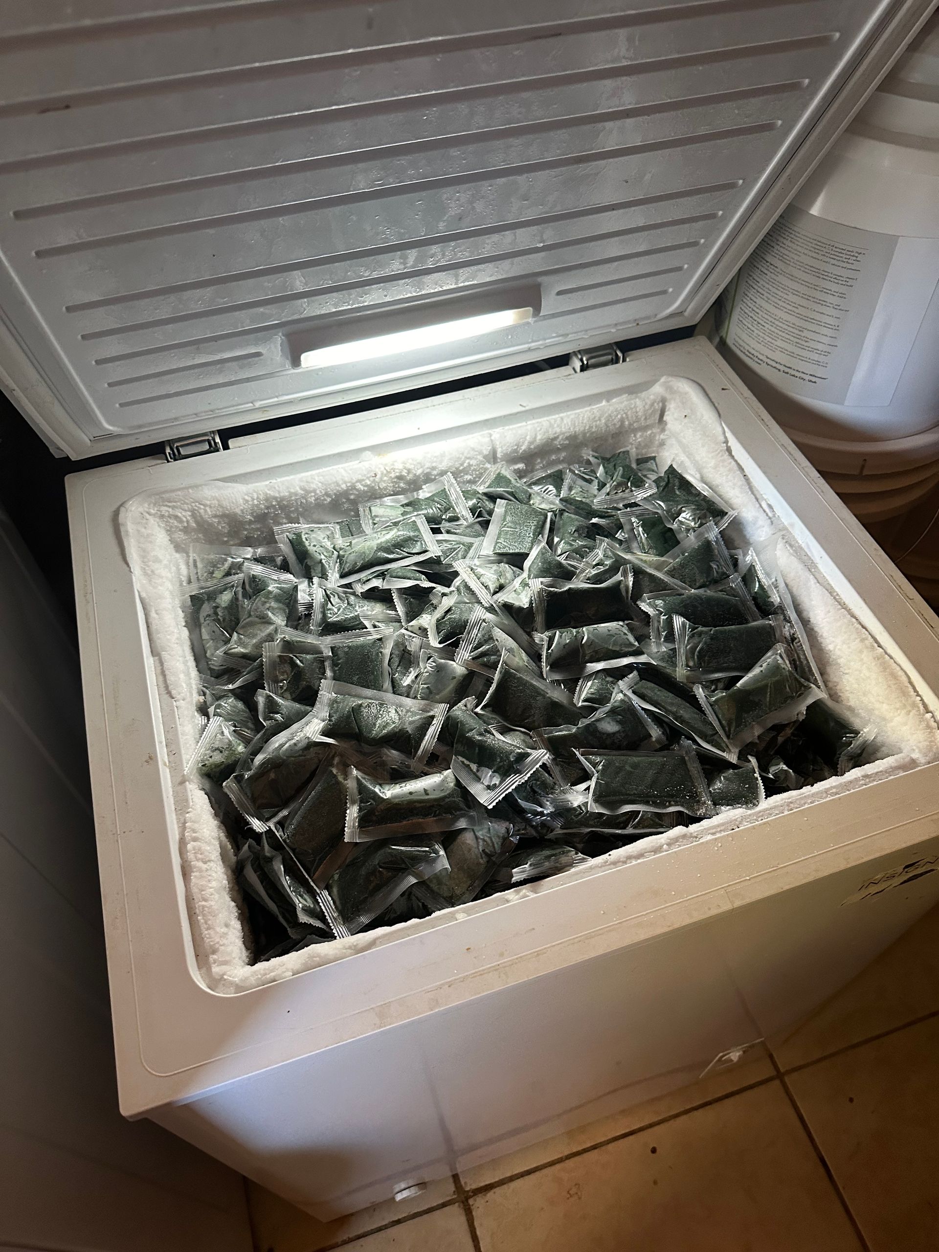 Frozen Spirulina Pods