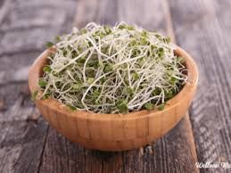 Sprouts