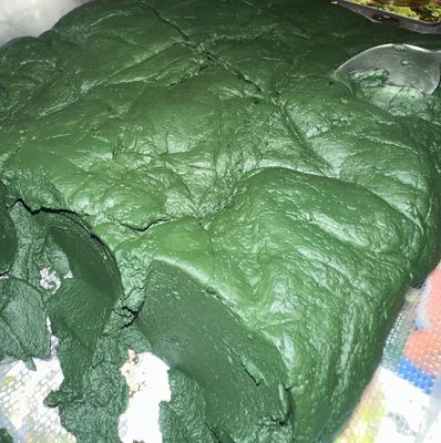 Spirulina