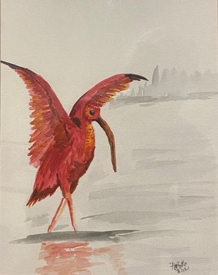 Scarlet Ibis