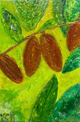 The Best Cocoa in the World