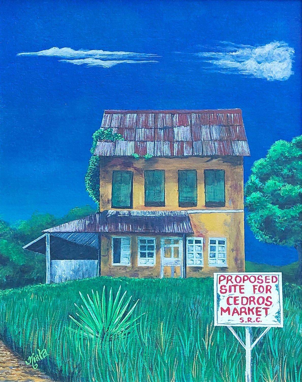 Cedros Road Trip 2. The Old Government Rest House, Cedros