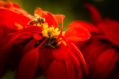 Where Nation Meets Need