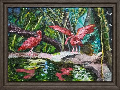 Scarlet Ibis in Nature