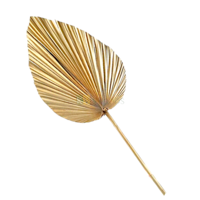1PC Big Golden Dried Palm Leaf Cake Topper Spear Shaped Leaf Cake Insert, Birthdays, Engagement Wedding Anniversary Theme Cake Accessories, DIY Cake Decorations, Project, Crafts, Home Party Decor