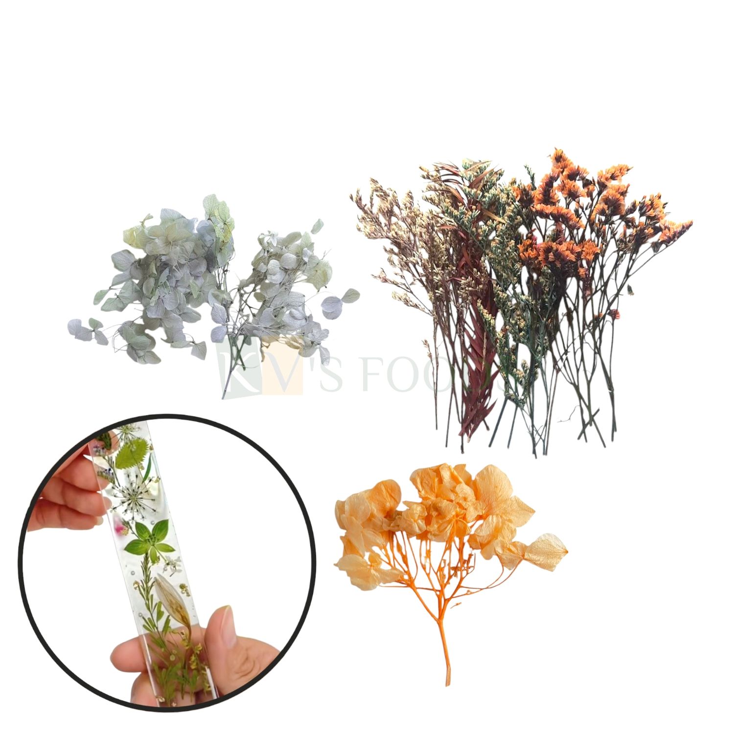 Multicolor Mixed Real Pressed Natural Dried Stems, Plant Herbarium Petals, for Resin, Soap Card Making, Home, Arts &amp; Crafts, Floral, Dried Botanical, Project, Party Decor, Candle Pendant Accessories