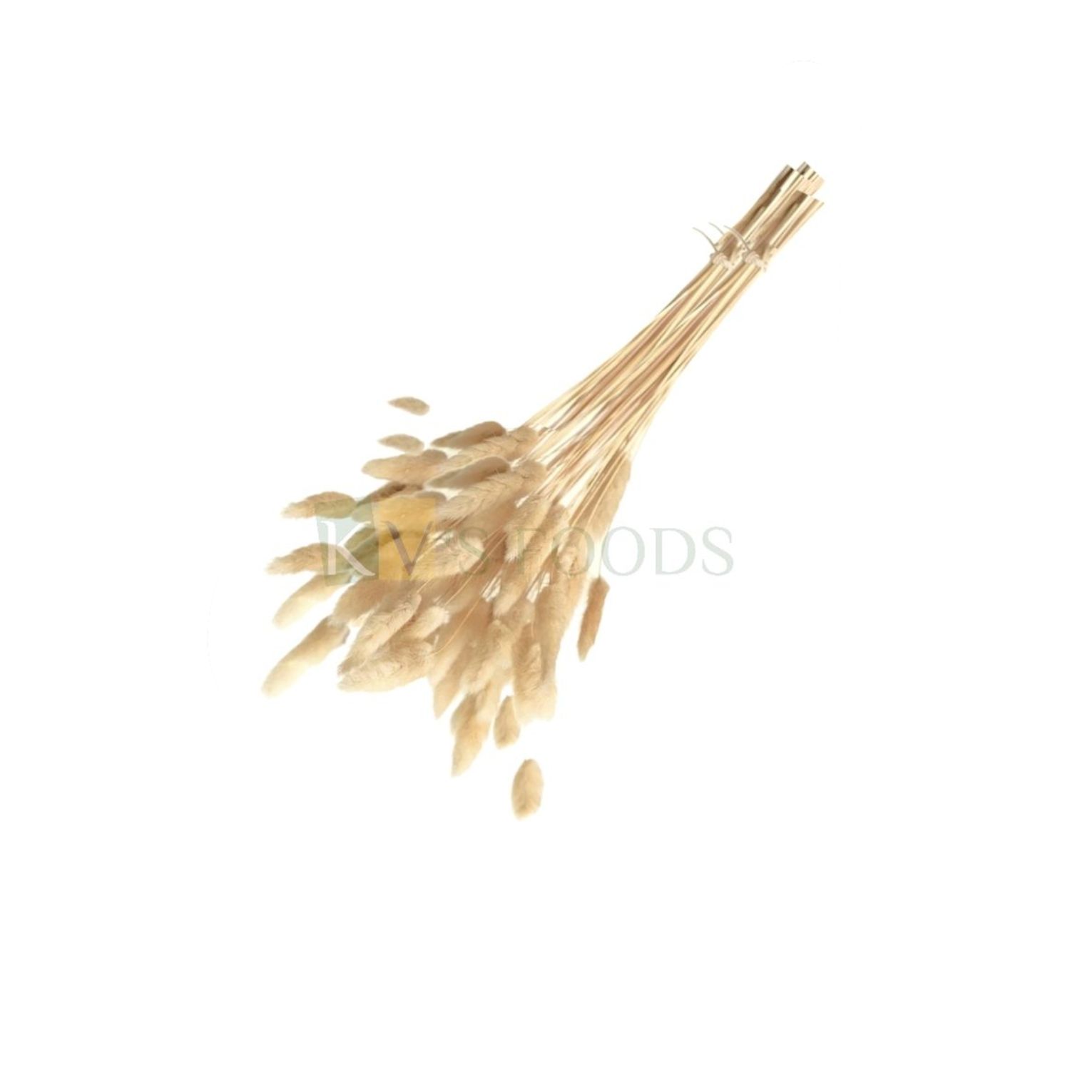 5 PCS Non-Edible Dried Lagurus Bunny Tail Pampas Grass, Cream Colour, Natural Phragmites Rabbit Tail Grass, Cake Toppers, Birthday Wedding Party Decor Flower Arrangement, Home Garden Cake Decoration