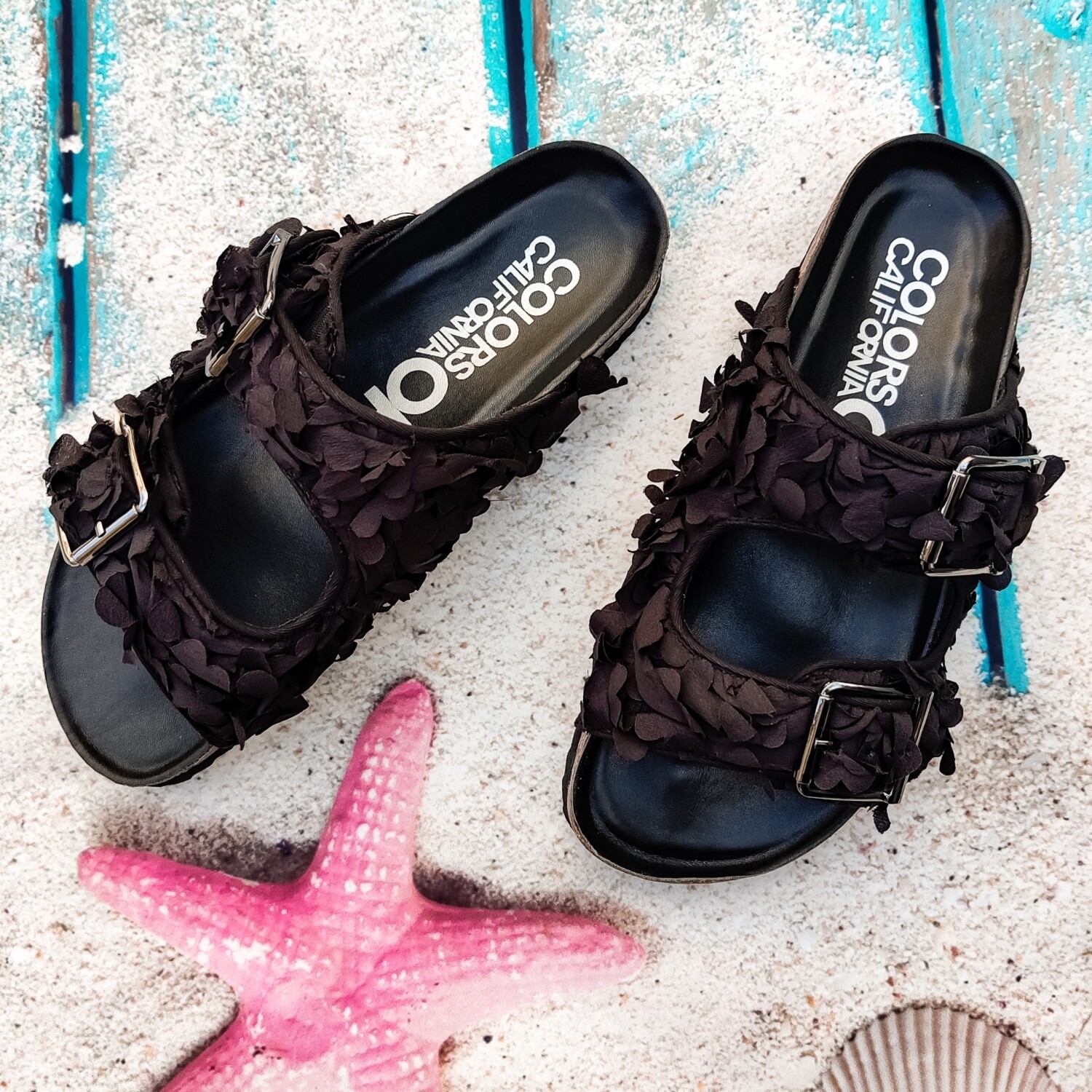 Mules with Black Flower Petals