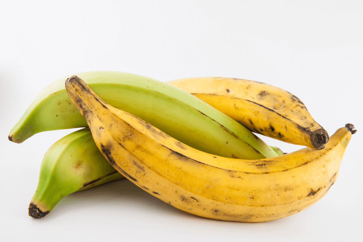 Small Bunch of Farm Plantain