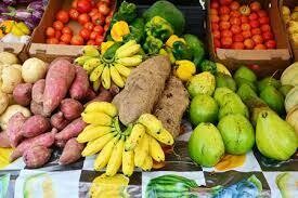 Professionals FOOD Basket