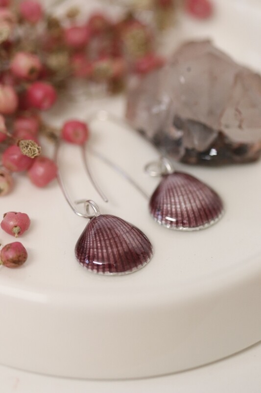 Silver Cockle Shell Earrings Silver Cockle Shell Earrings