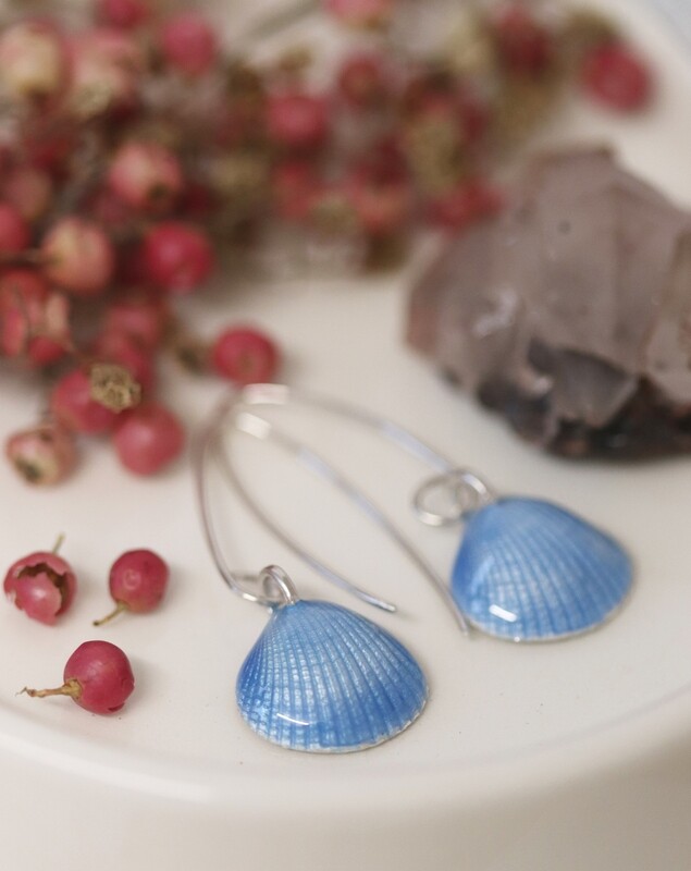 Silver Cockle Shell Earrings Silver Cockle Shell Earrings