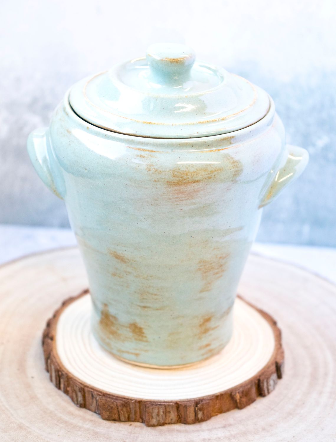 Mermaid Lagoon Lidded Vase