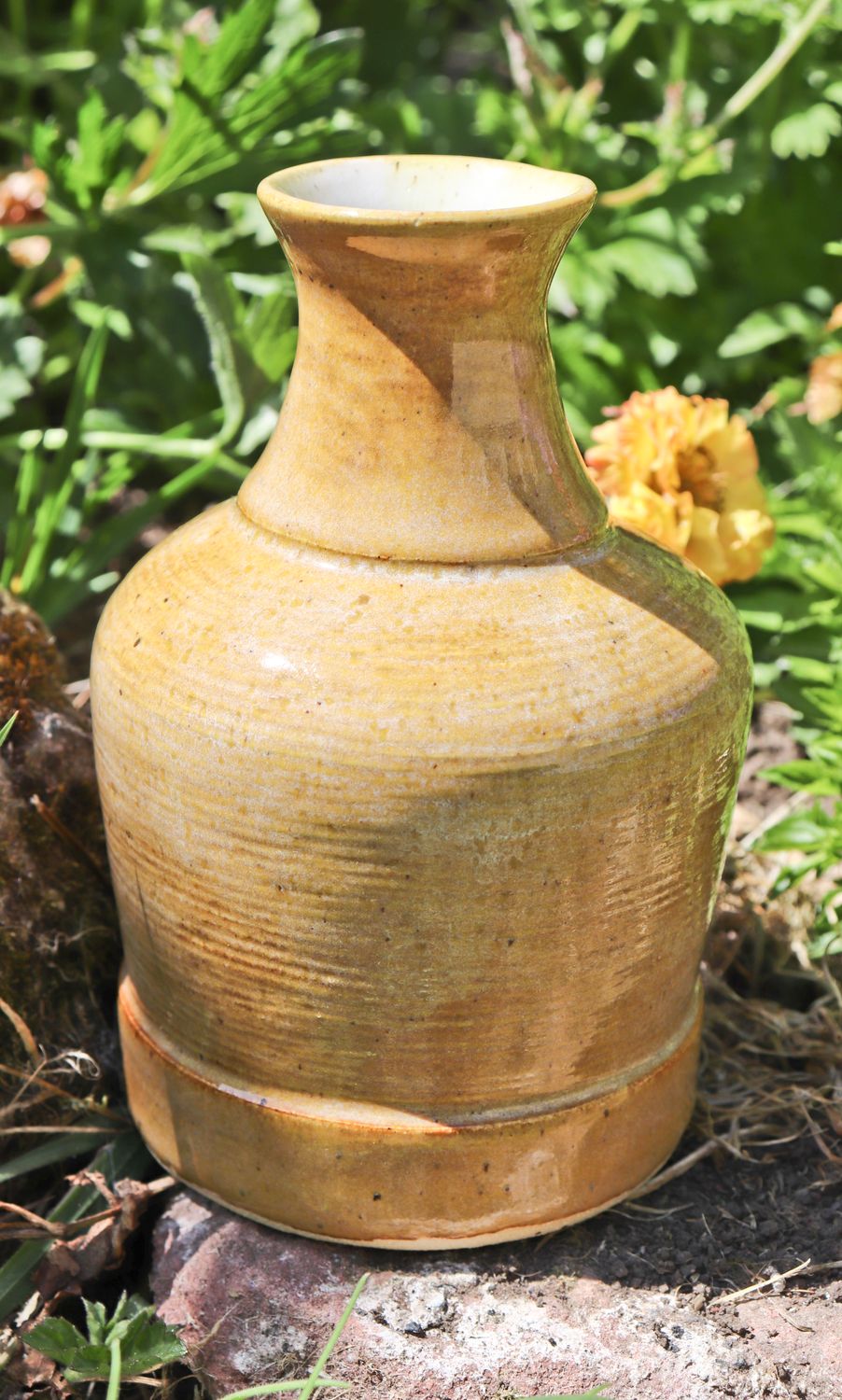 Mustard Bottle