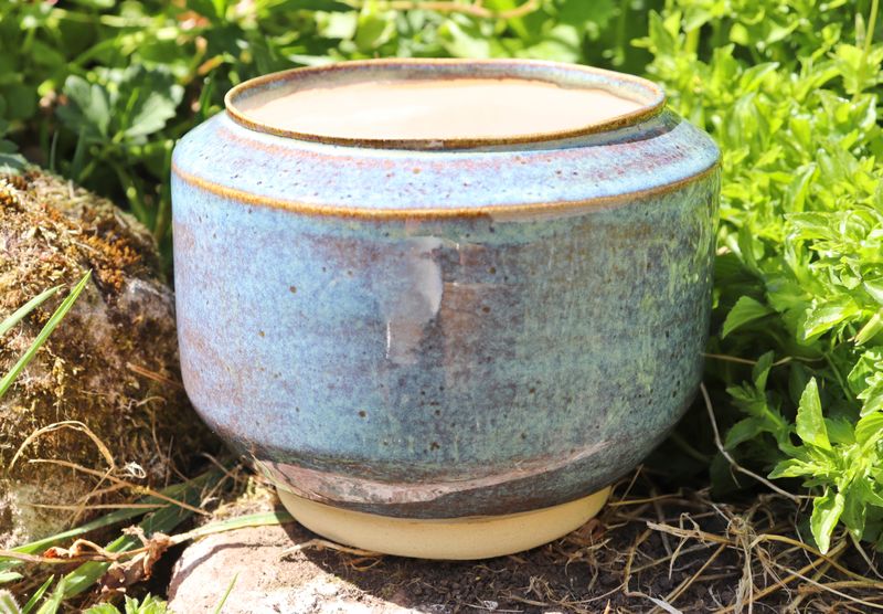 Oriental Rimmed Bowl