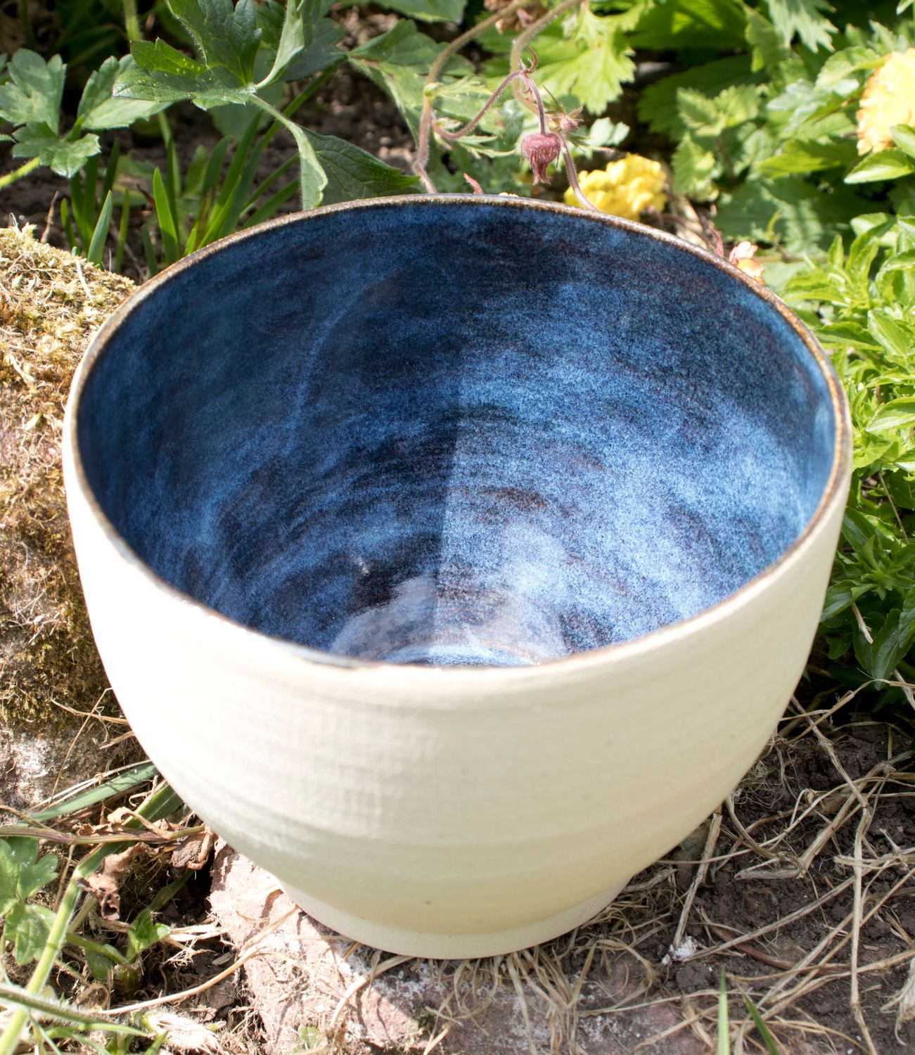 Raw Blue Bowl 2
