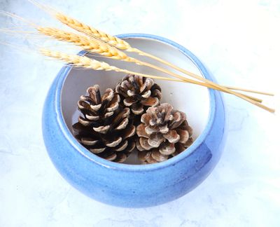 Blue Doughnut Bowl