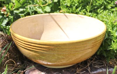 Mustard Bowl