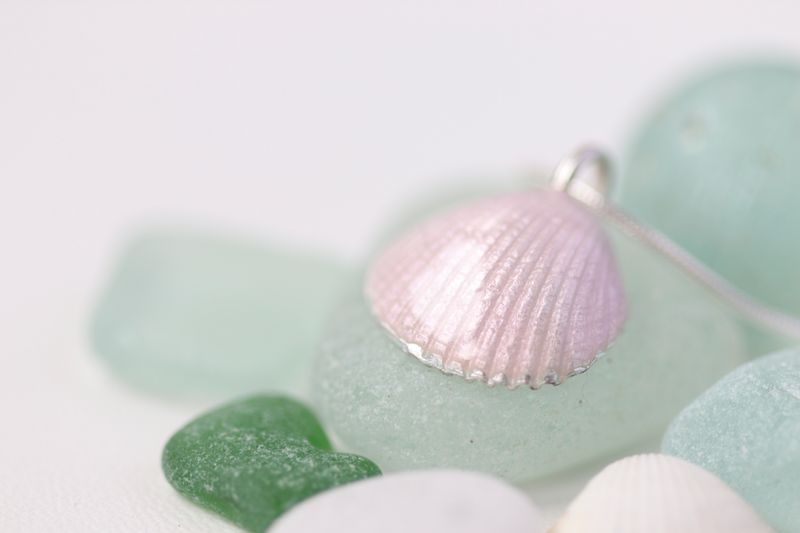 Pink cockle shell pendant in silver and enamel.