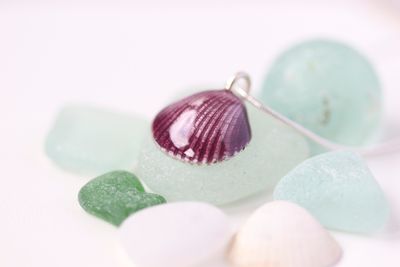 Sterling Silver Cockle Shell Pendant with Plum Enamel