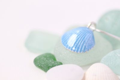 Sterling Silver Cockle Shell Pendant with Sky Blue Enamel