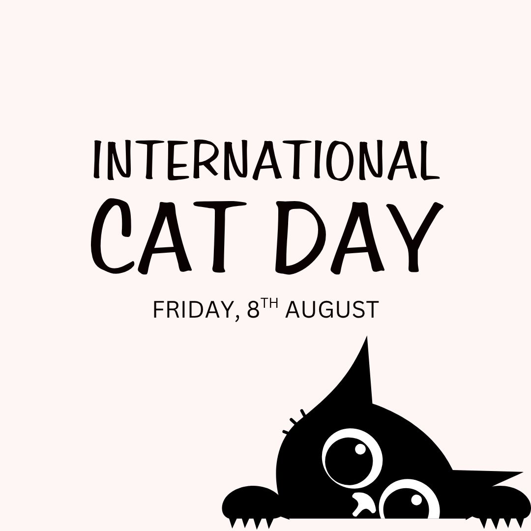 INTERNATIONAL CAT DAY (ADULTS) - FRIDAY, AUG 8TH- ALL DAY ACCESS