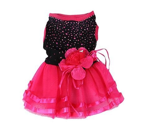 Robe chic Tutu de luxe