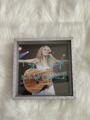 Taylor Swift Tour Fund / Merch Fund Bank