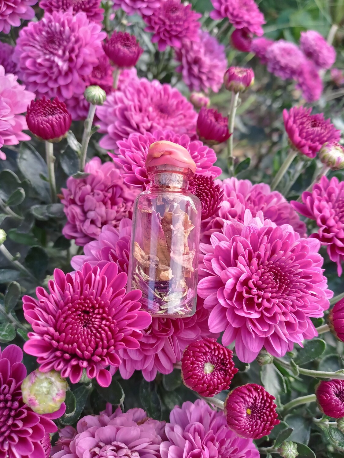 &quot;Love Me, Love Me!&quot; medium spell jar