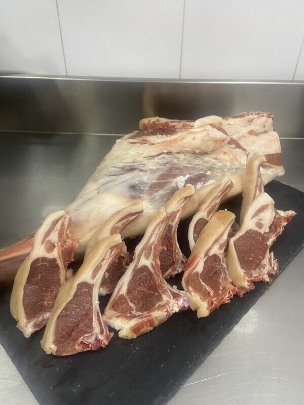 Agnello