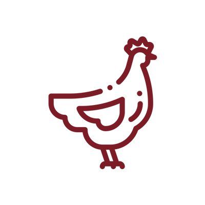 Pollo