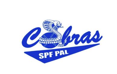 SALE ALERT! Cobras Magnets now $5!